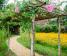 Flamingo Đại Lải Resort Vĩnh Phúc 8